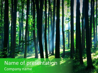 Growth Scenery Wild PowerPoint Template