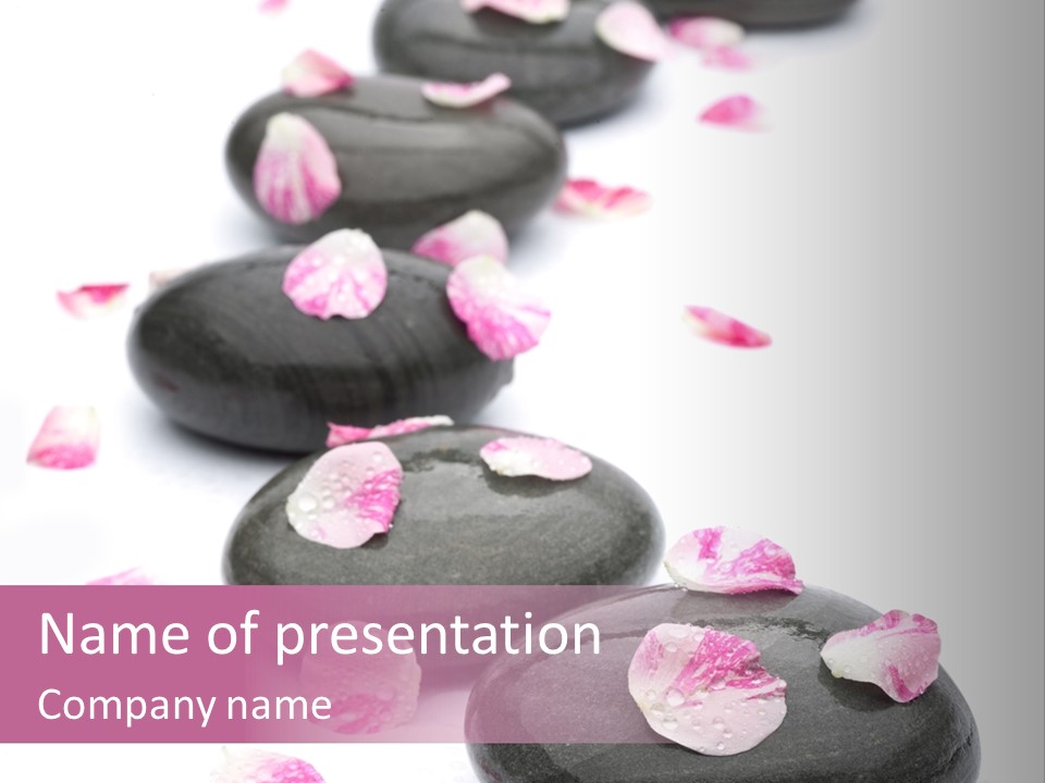 Daisy Flower Therapy PowerPoint Template