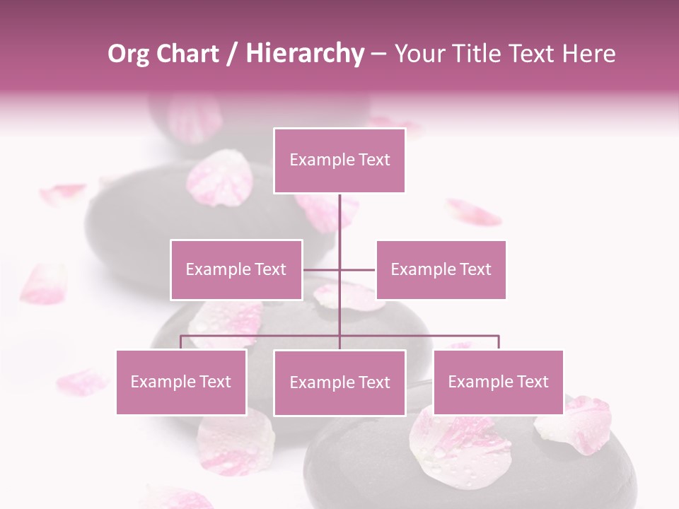 Daisy Flower Therapy PowerPoint Template