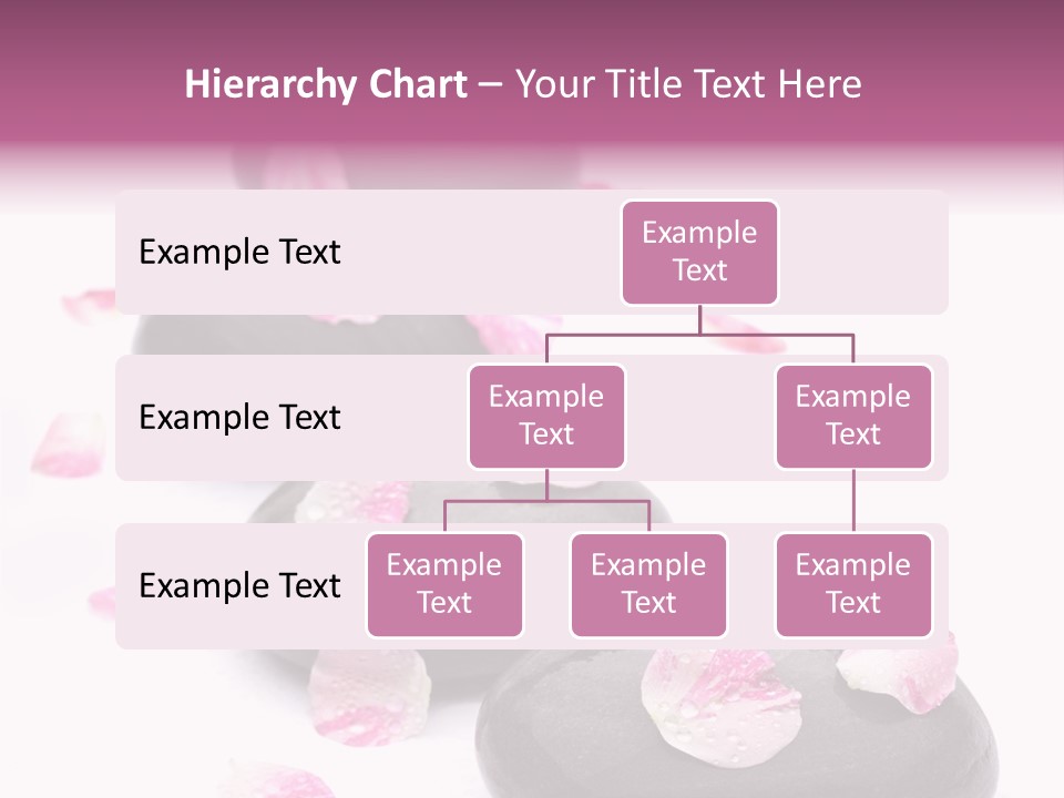 Daisy Flower Therapy PowerPoint Template