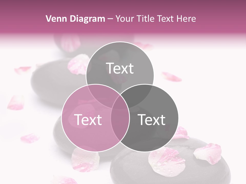 Daisy Flower Therapy PowerPoint Template