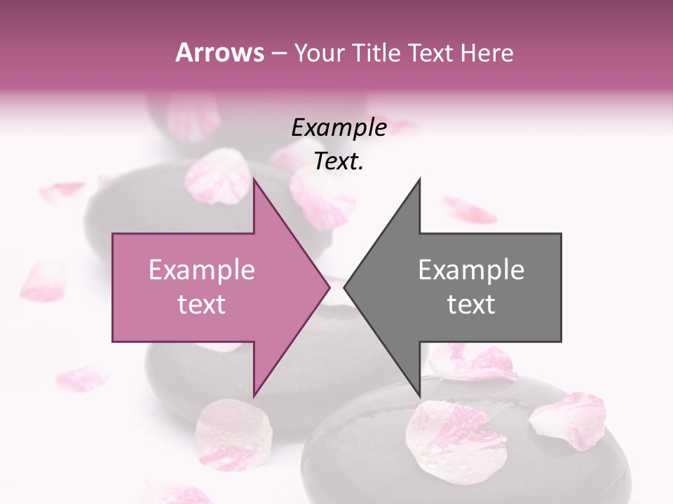 Daisy Flower Therapy PowerPoint Template