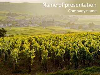 Village Locations Saone PowerPoint Template