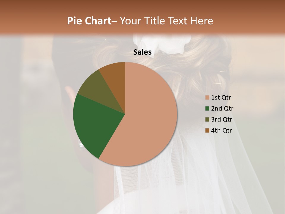 Hairstyle Outside Bridal PowerPoint Template