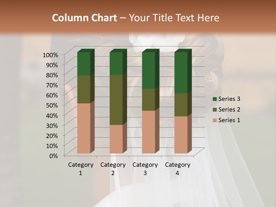 Hairstyle Outside Bridal PowerPoint Template