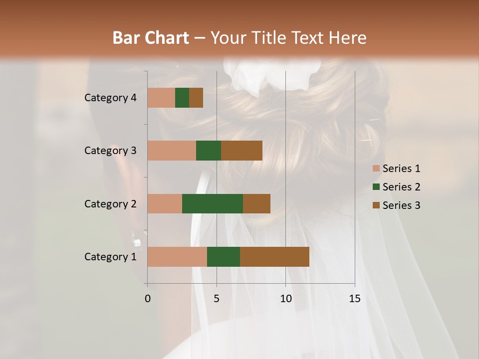 Hairstyle Outside Bridal PowerPoint Template
