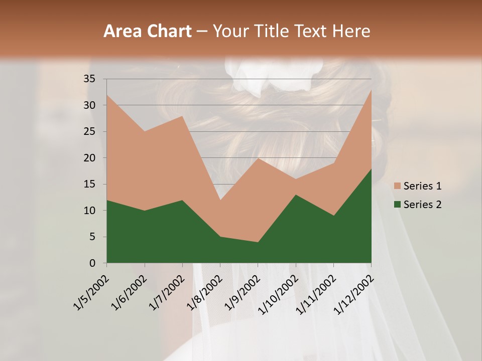 Hairstyle Outside Bridal PowerPoint Template