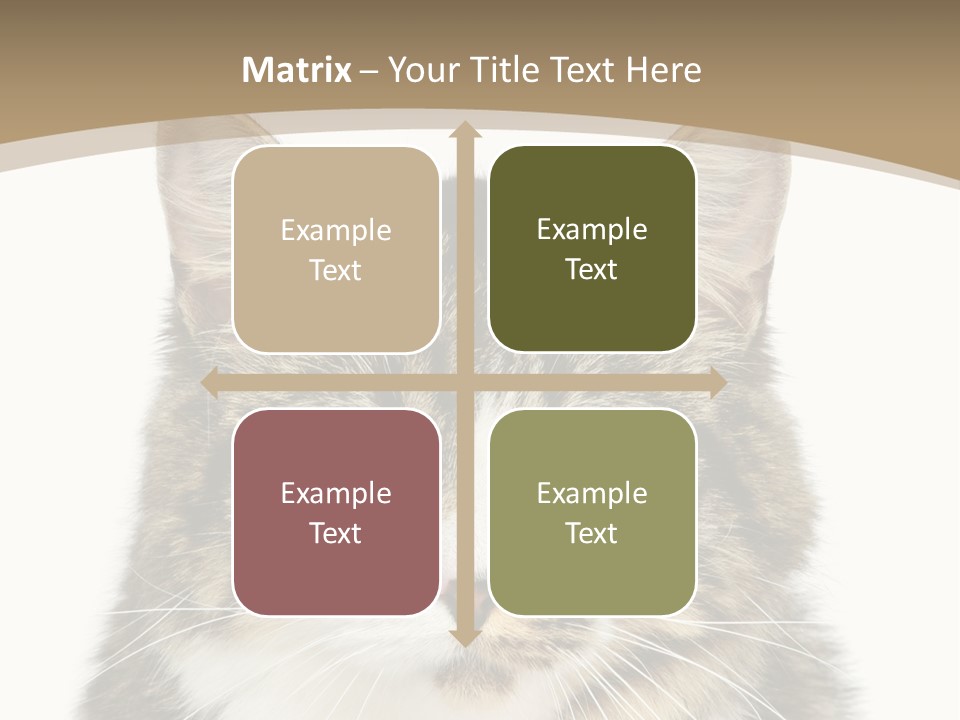 Predator Kitty Baby PowerPoint Template