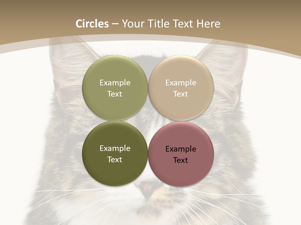 Predator Kitty Baby PowerPoint Template