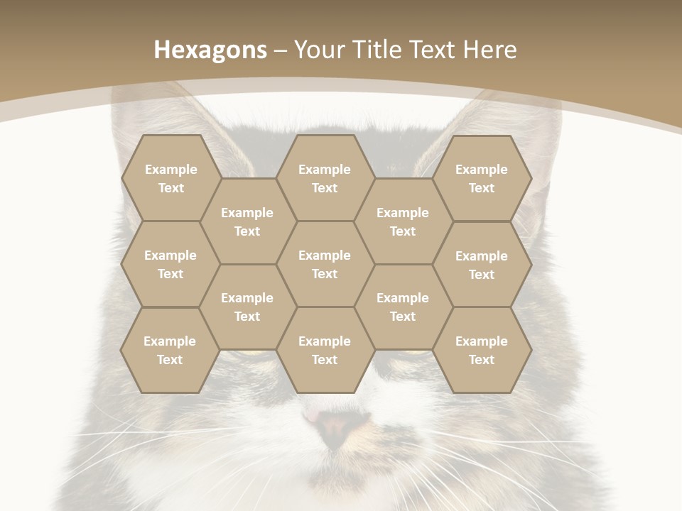 Predator Kitty Baby PowerPoint Template