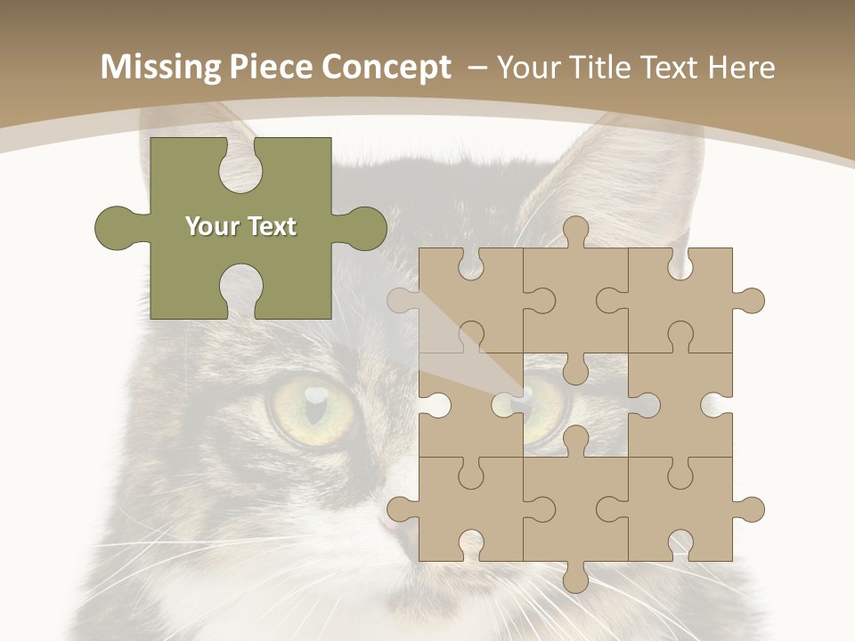 Predator Kitty Baby PowerPoint Template