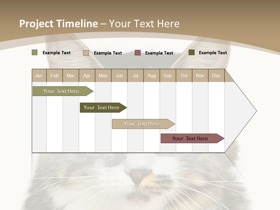 Predator Kitty Baby PowerPoint Template