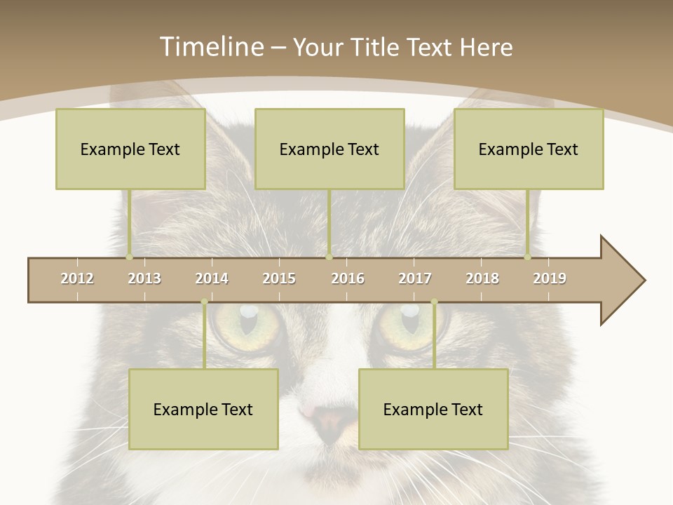 Predator Kitty Baby PowerPoint Template