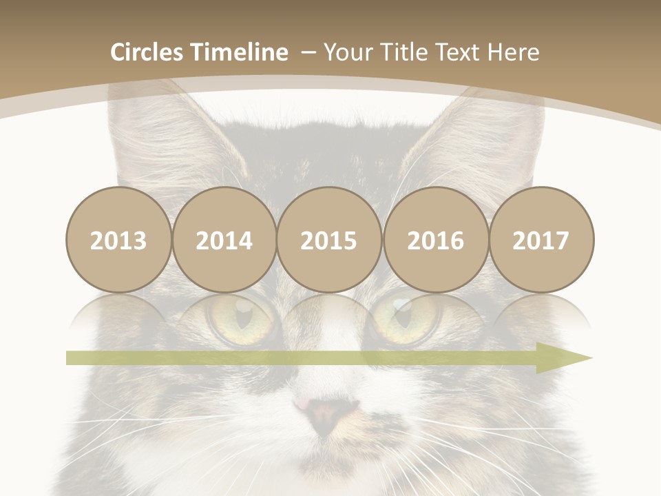 Predator Kitty Baby PowerPoint Template