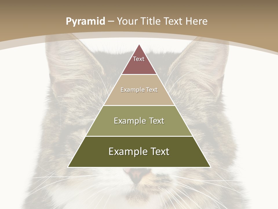 Predator Kitty Baby PowerPoint Template