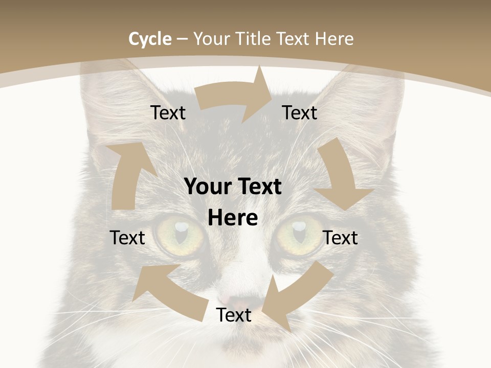 Predator Kitty Baby PowerPoint Template