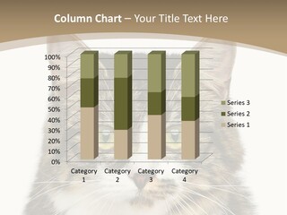 Predator Kitty Baby PowerPoint Template