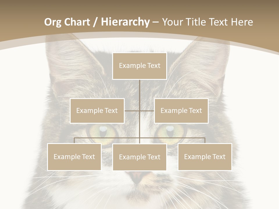 Predator Kitty Baby PowerPoint Template