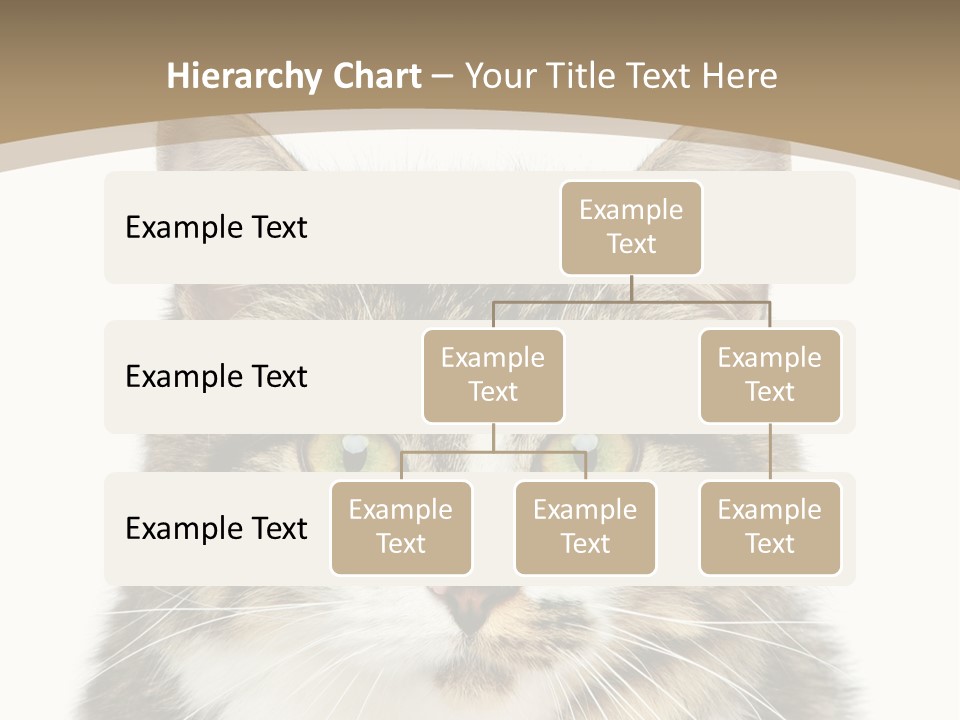 Predator Kitty Baby PowerPoint Template