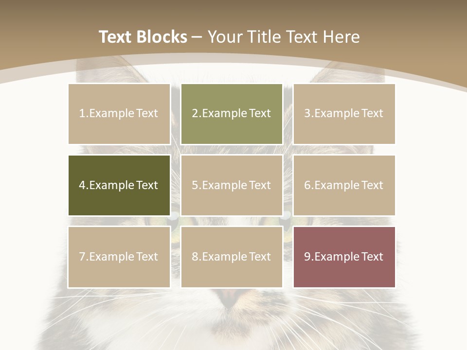 Predator Kitty Baby PowerPoint Template