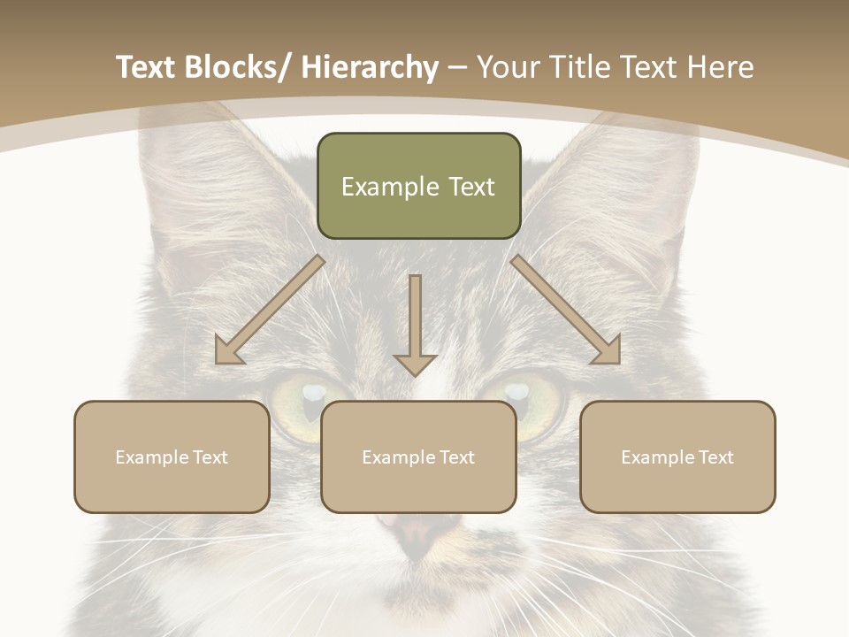 Predator Kitty Baby PowerPoint Template