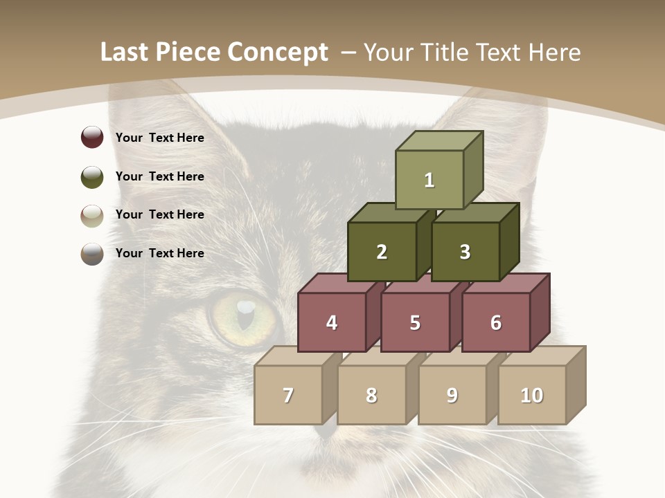 Predator Kitty Baby PowerPoint Template