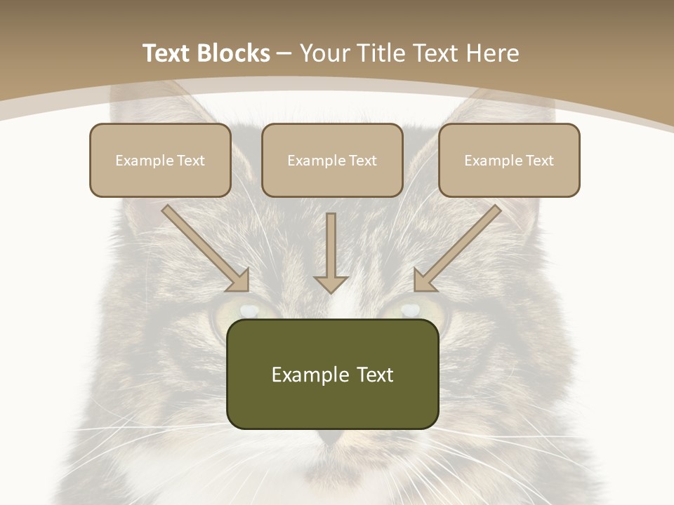 Predator Kitty Baby PowerPoint Template