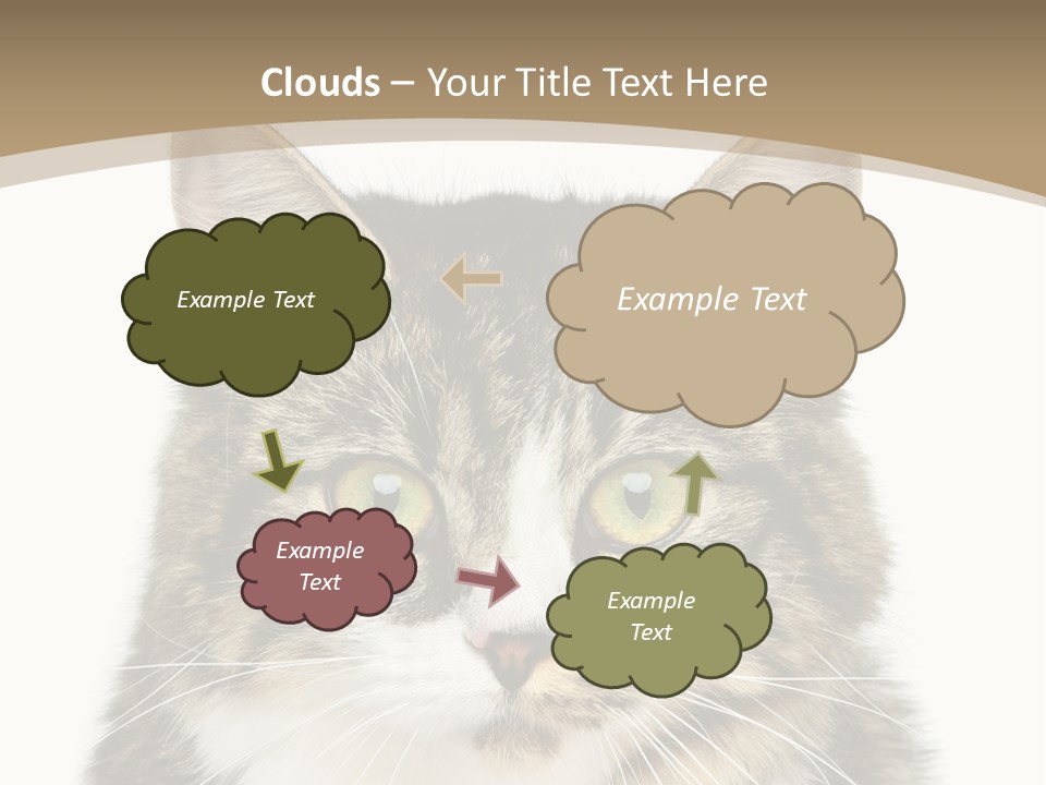 Predator Kitty Baby PowerPoint Template