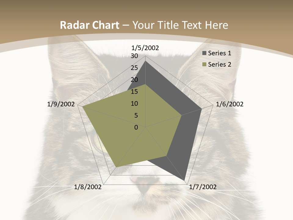 Predator Kitty Baby PowerPoint Template