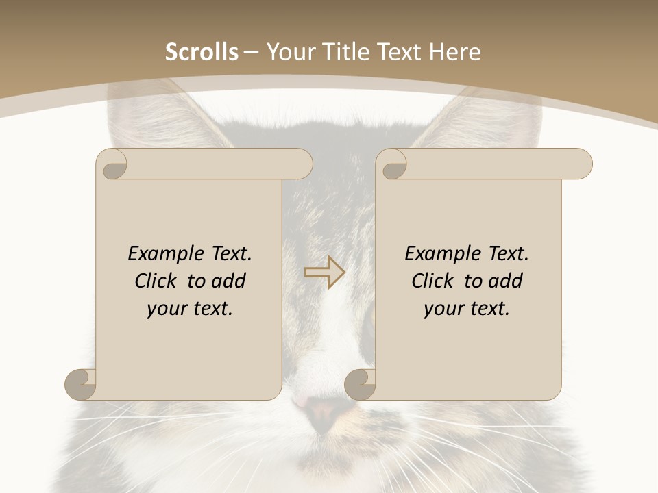 Predator Kitty Baby PowerPoint Template