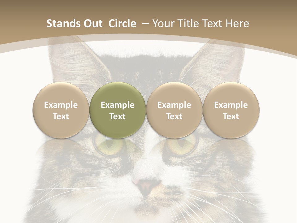 Predator Kitty Baby PowerPoint Template