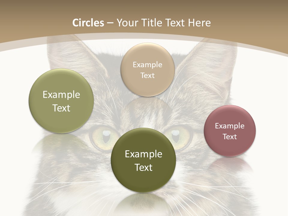 Predator Kitty Baby PowerPoint Template