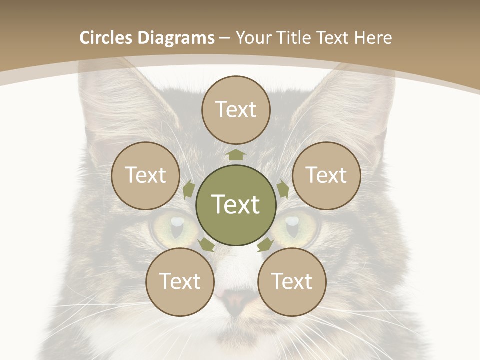 Predator Kitty Baby PowerPoint Template