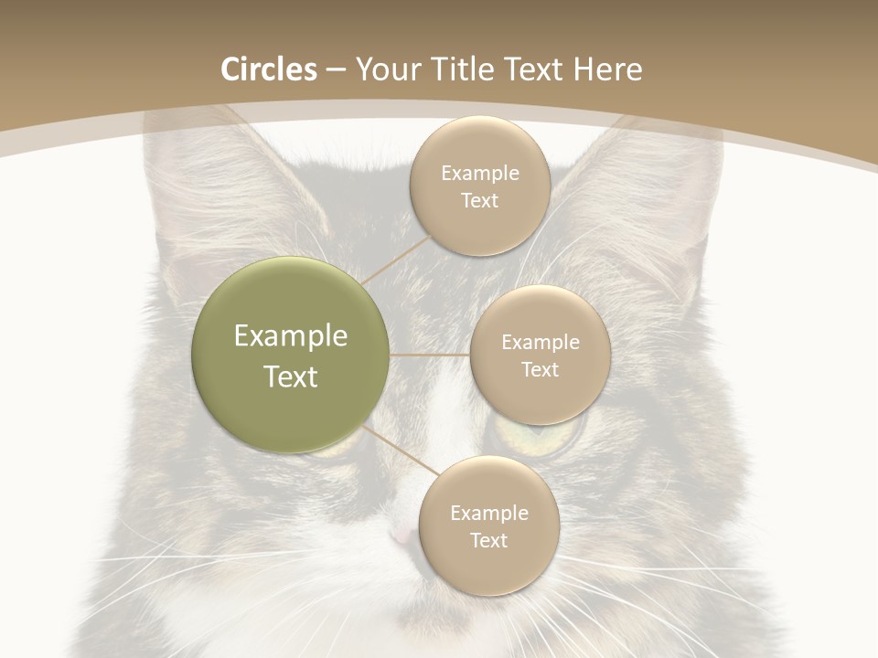 Predator Kitty Baby PowerPoint Template