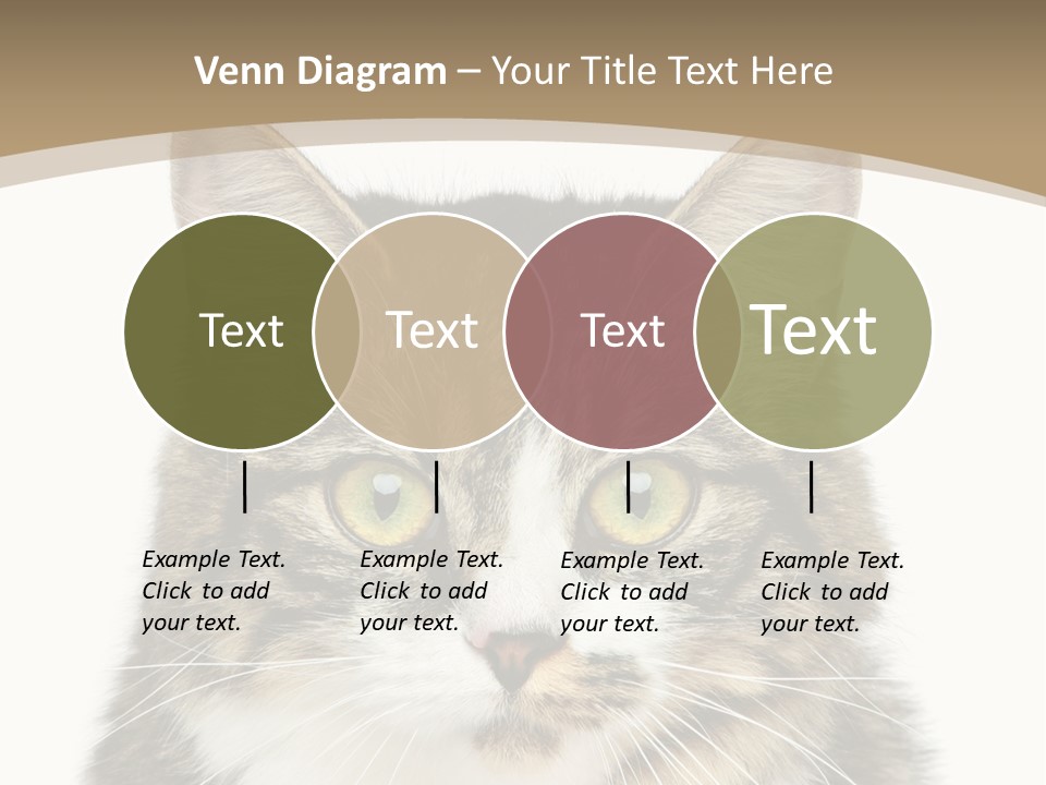 Predator Kitty Baby PowerPoint Template