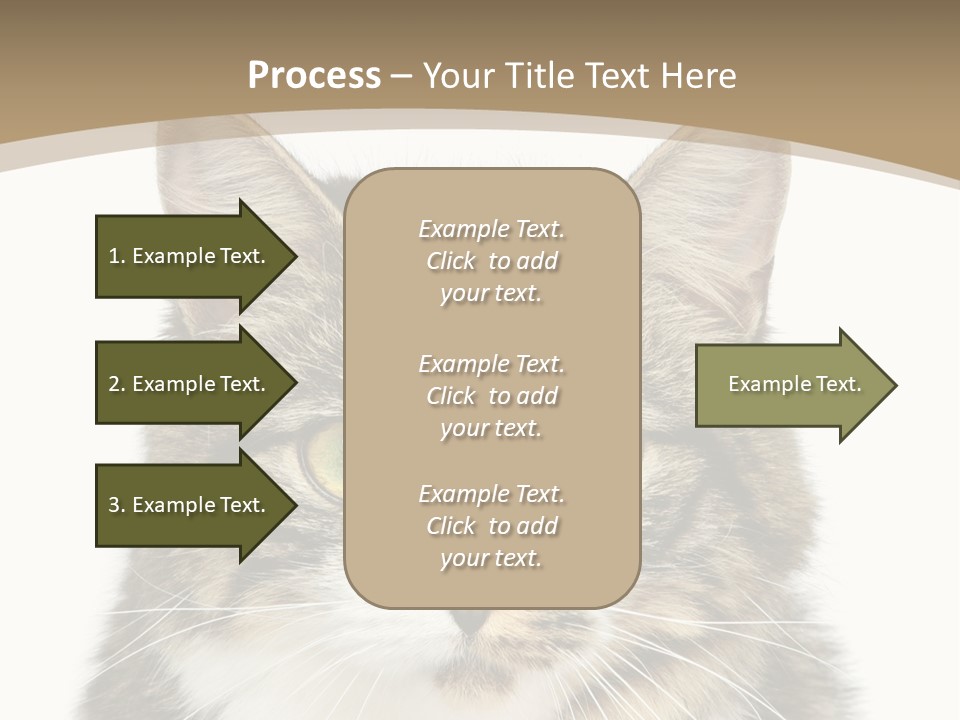 Predator Kitty Baby PowerPoint Template