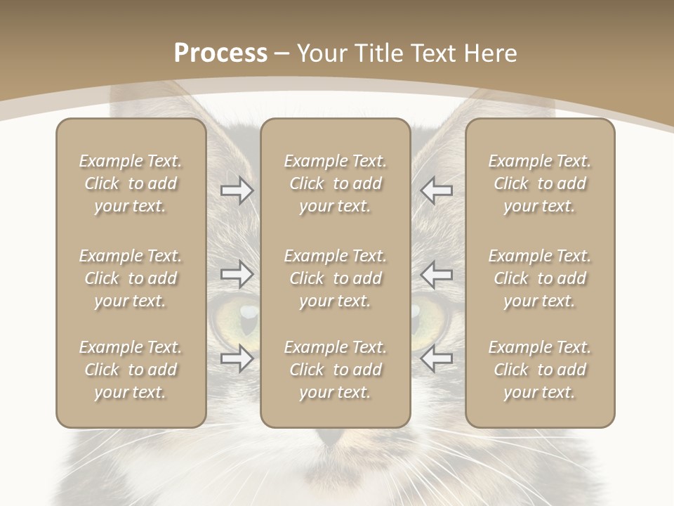 Predator Kitty Baby PowerPoint Template