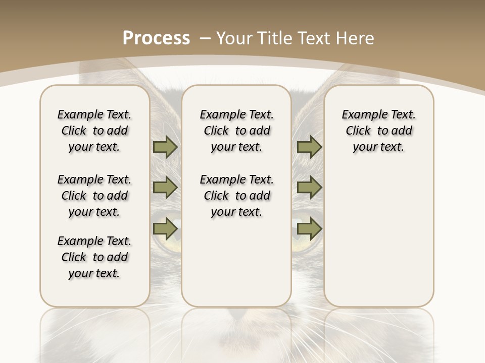 Predator Kitty Baby PowerPoint Template