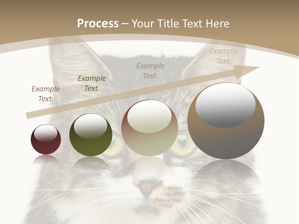 Predator Kitty Baby PowerPoint Template