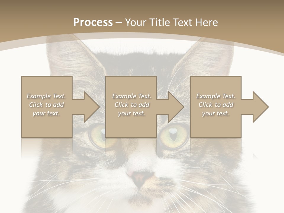 Predator Kitty Baby PowerPoint Template