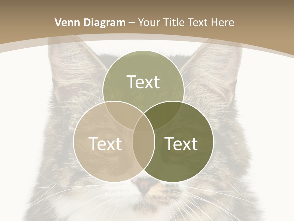 Predator Kitty Baby PowerPoint Template