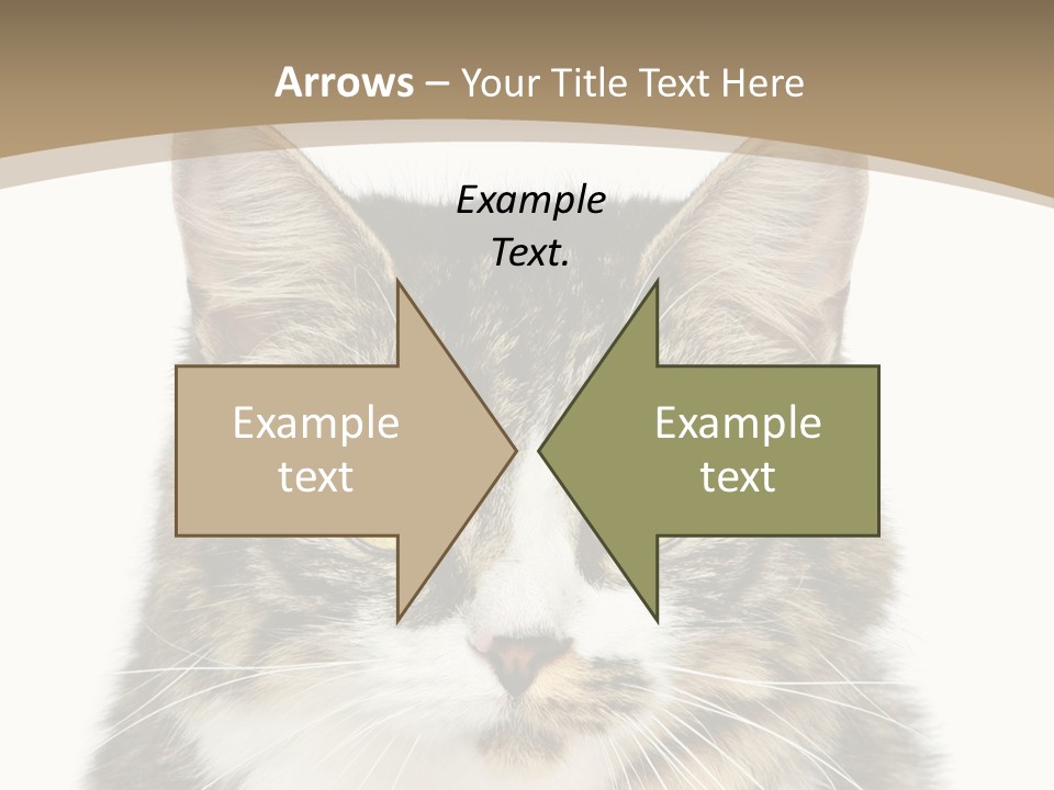 Predator Kitty Baby PowerPoint Template