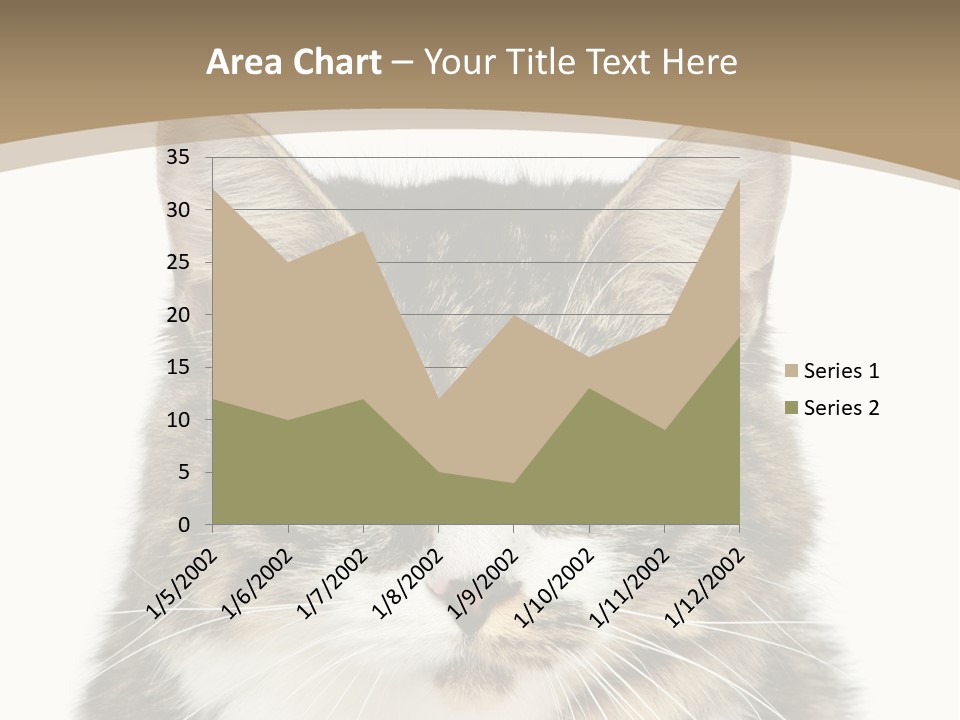 Predator Kitty Baby PowerPoint Template
