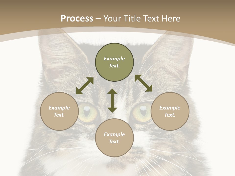 Predator Kitty Baby PowerPoint Template