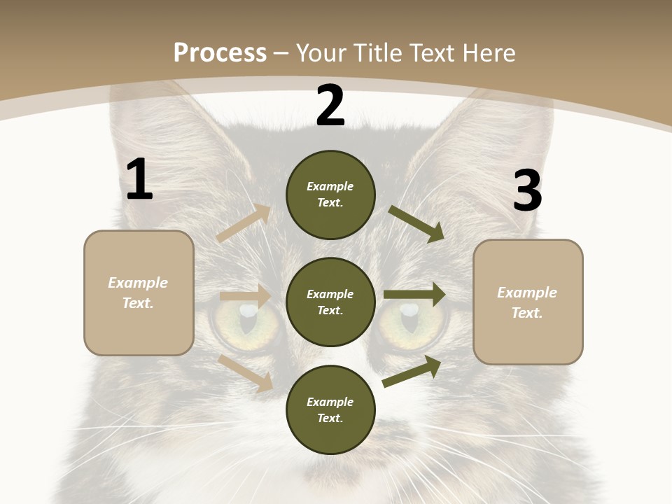 Predator Kitty Baby PowerPoint Template