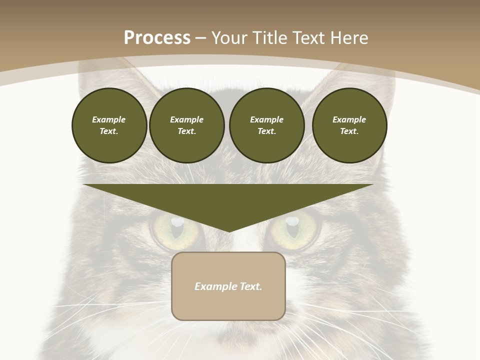 Predator Kitty Baby PowerPoint Template