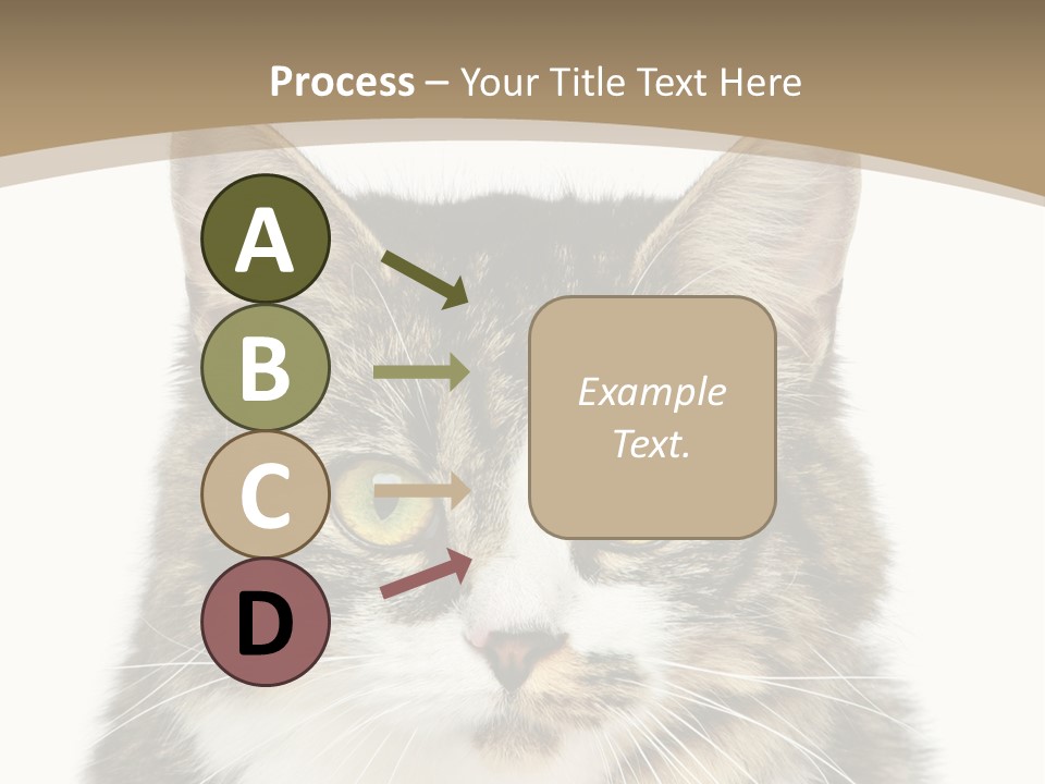 Predator Kitty Baby PowerPoint Template