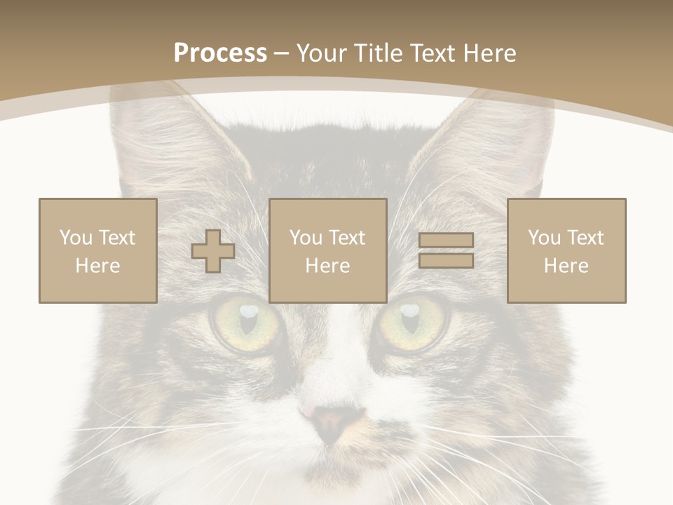 Predator Kitty Baby PowerPoint Template