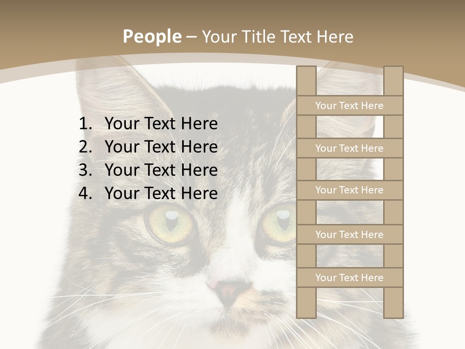 Predator Kitty Baby PowerPoint Template