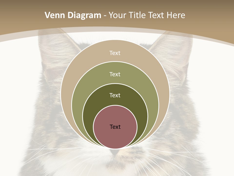 Predator Kitty Baby PowerPoint Template